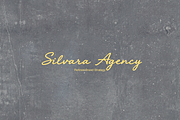 Seraphy Script Font, a Script Font by gafaroff studio (Thumbnail 4 of 5)
