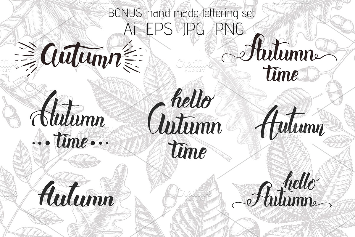 Autumn leaves. Vector Collection, an Illustration by Tabiti (Photo 8 of 9)