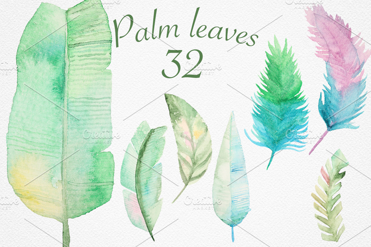 Palm leaves collection, a Decorative Illustration by IvanFet (Photo 3 of 6)