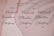 Orlando Signature + Extra Logo, a Script Font by Anxiety Studio (Thumbnail 8 of 14)