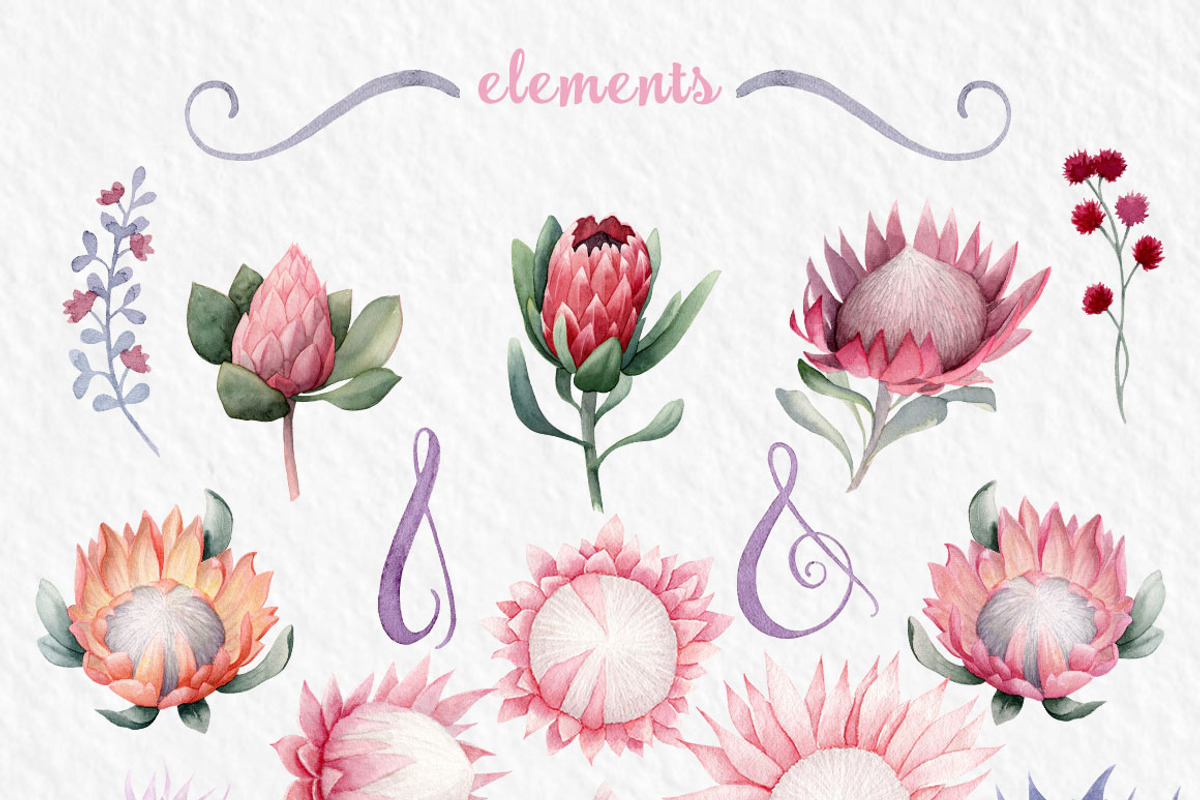 Exotic Watercolor Flowers Collection, a Decorative Illustration by Watercolor Nomads (Photo 4 of 7)