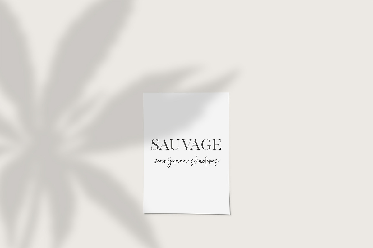 Hemp/Marijuana Shadows & MockUp, a Mockup by Jeanina Vlad (Photo 8 of 17)