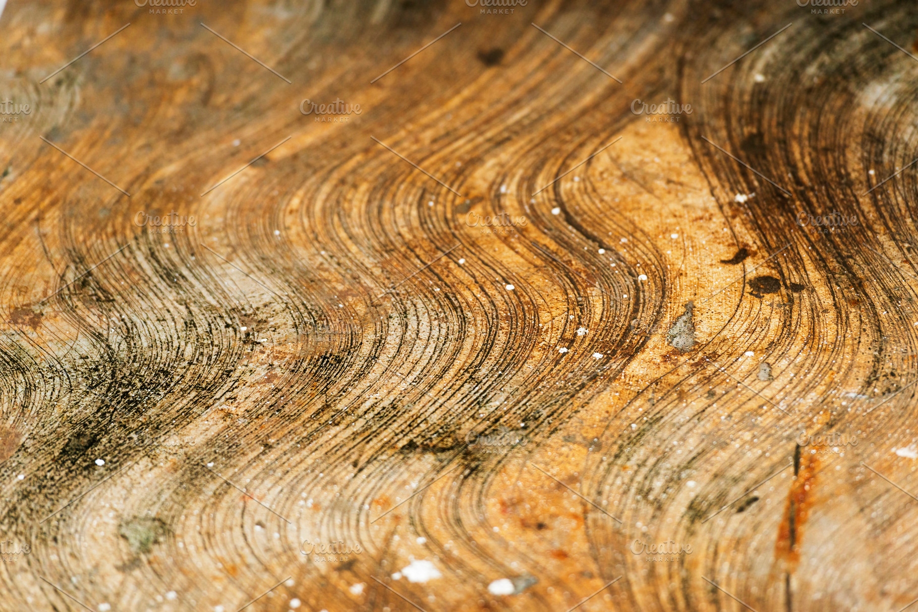 Concrete Floor Patterns, an Abstract Photo by THP Creative