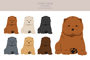 Chow chow (longhaired) clipart, an Animal Illustration by pet design shop (Thumbnail 5 of 9)