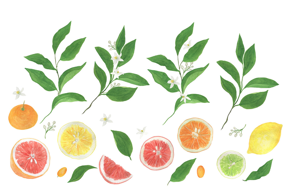 Citrus collection, a Pattern Graphic by ramika (Photo 6 of 9)