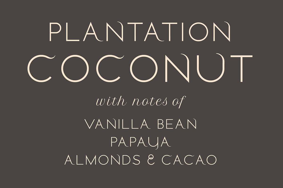 Stamford font family, a Sans Serif Font by LostandFoundry (Photo 5 of 11)