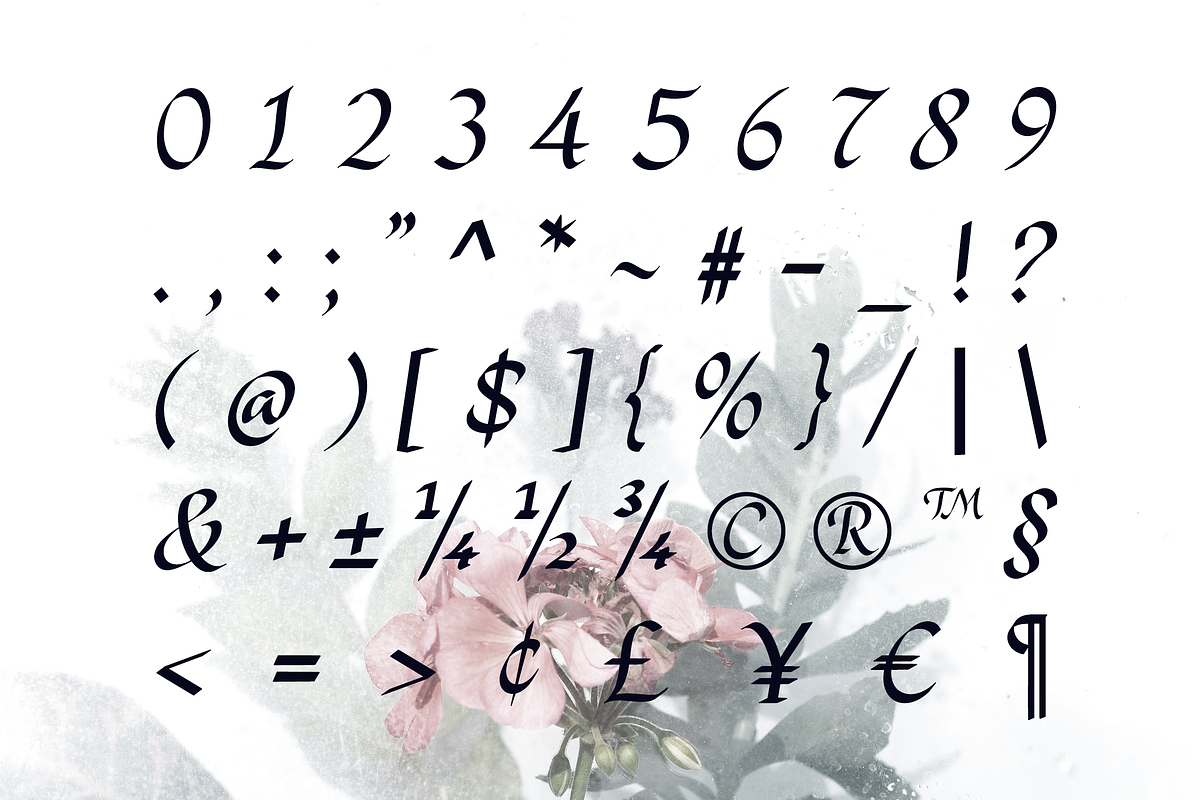 Flowing Romance, a Handwritten Font by Sign Studio (Photo 10 of 10)