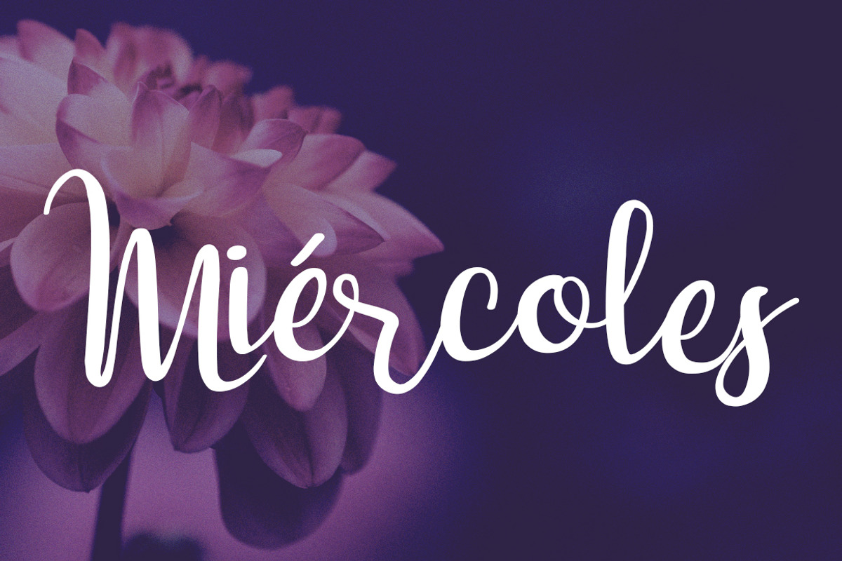 Dulce Niña Script preview 3