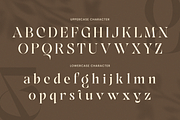 Erazer – Luxury High Contrast Serif, a Serif Font by Sensatype (Thumbnail 12 of 12)