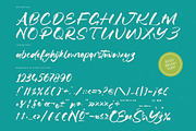 Satiate Ration Bold Brush Font, a Script Font by stylishtype.co (Thumbnail 18 of 20)