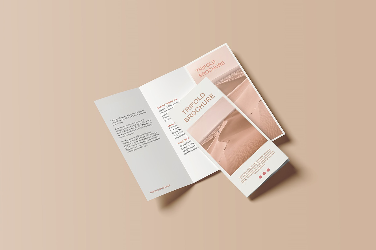 Trifold Brochure Mockup, a Books & Magazine Mockup by Lxadesign (Photo 11 of 18)