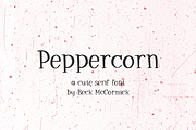 Peppercorn Serif Font, a Handwritten Font by Beck McCormick (Thumbnail 1 of 10)