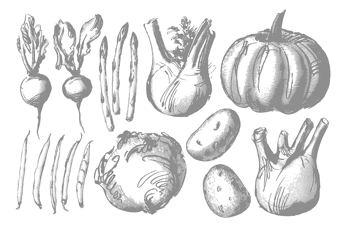 Vegetable collection, an Object Graphic by Siosay (Photo 6 of 13)