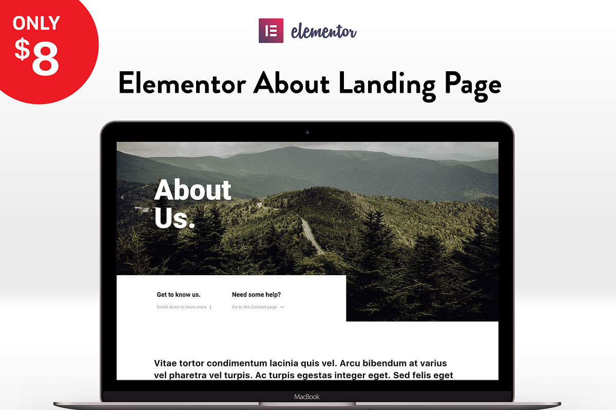 Elementor Landing Page Template, an UI Kit Template by Elementor Market (Photo 1 of 2)