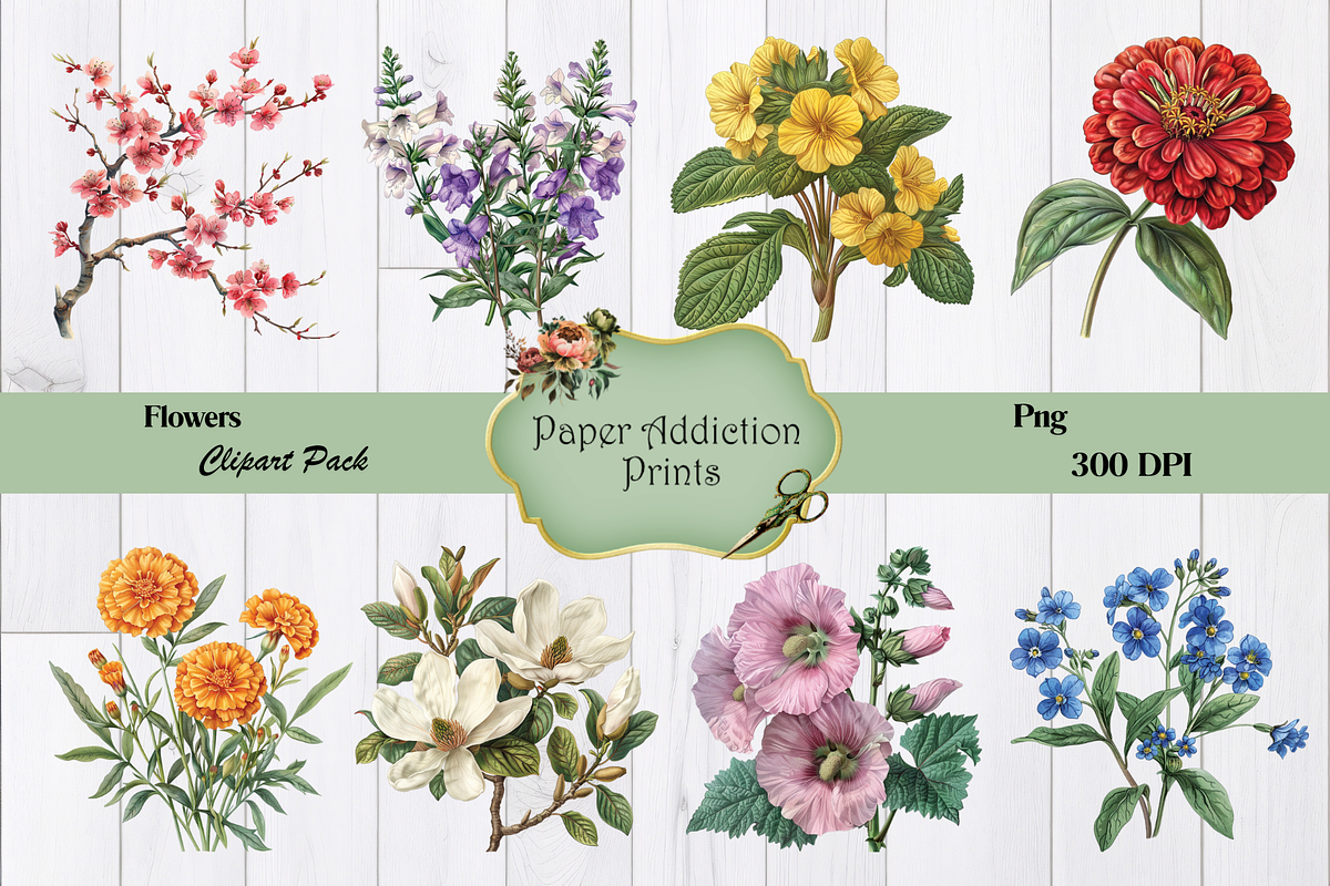 70 Flower Clipart Images, a Decorative Illustration by Paper Addiction Prints (Photo 4 of 10)