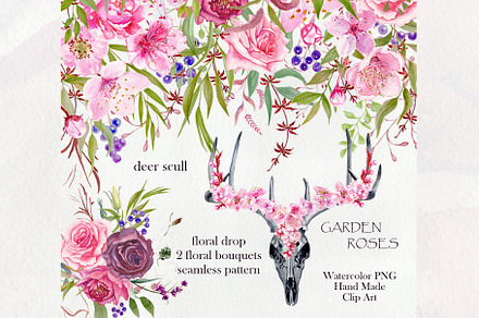 Garden roses 3