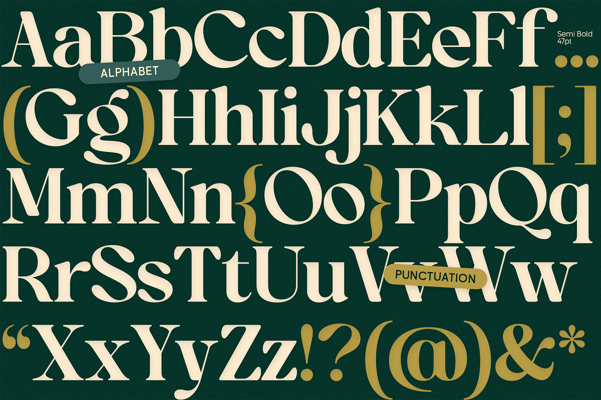 OV Treasure Retro Serif Font Family, a Serif Font by OV Type (Photo 3 of 21)