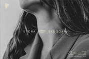 Karl – Cool Sans w Unique Alternates, a Sans Serif Font by Local Desk Designstudio (Thumbnail 13 of 28)