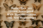 Magen Elegant Classic Serif Font, a Serif Font by Perfectype (Thumbnail 4 of 8)