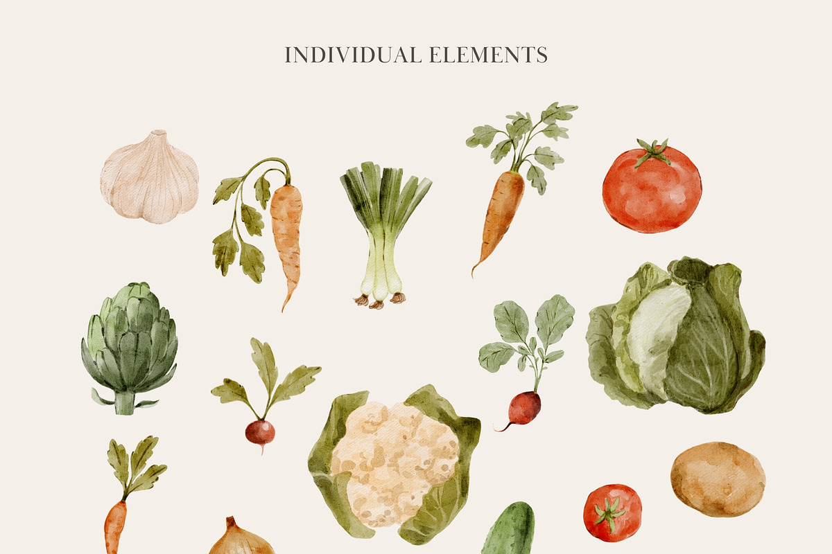 Watercolor Vegetables Collection, a Food Illustration by Jenteva Art (Photo 13 of 15)