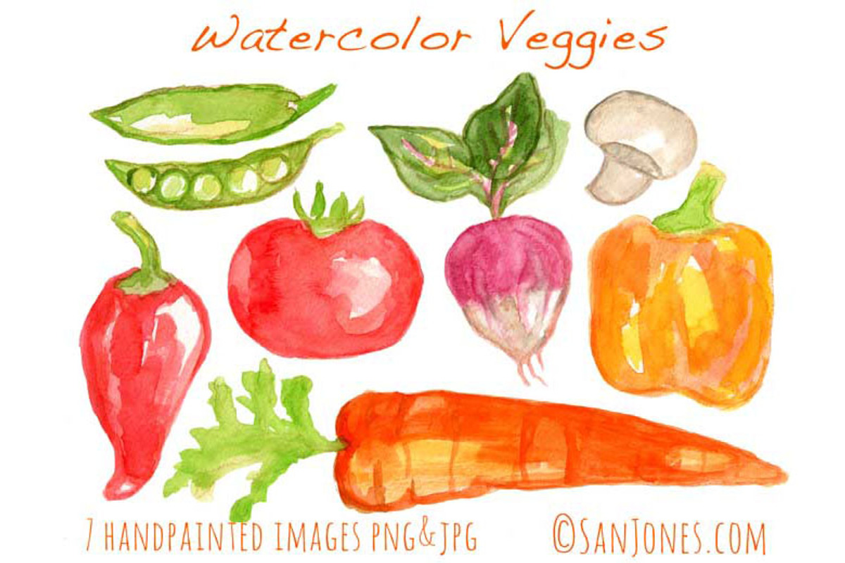 Watercolor Vegetables, an Illustration by Sandra Jones Art (Photo 1 of 2)