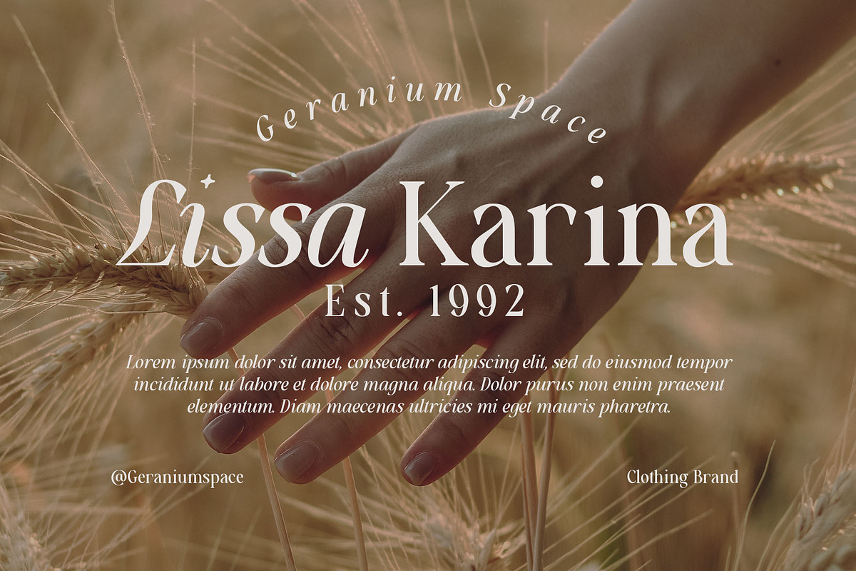 Aesthetic Essential | Modern Serif, a Serif Font by Megi Satyo Widodo (Photo 7 of 22)