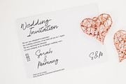 Rosa Signature typeface, a Script Font by WAP (Thumbnail 3 of 6)