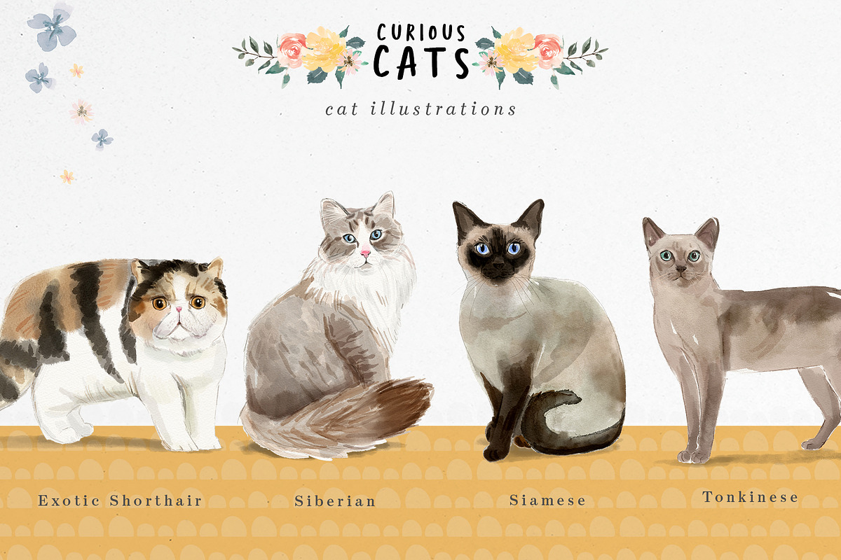 Curious Cats Feline Clipart, an Animal Illustration by Twigs and Twine (Photo 6 of 11)