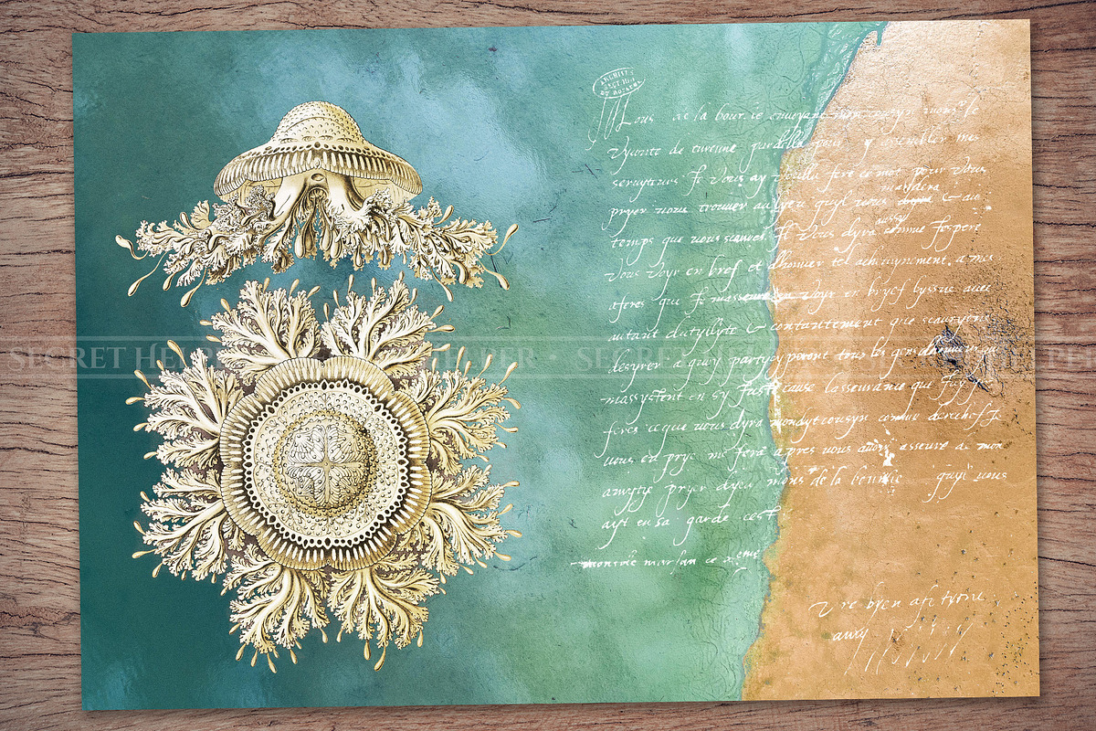 Ocean Scrapbooking Kit, an Illustration by Secret Helper (Photo 6 of 9)