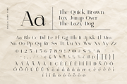 Elegant Modern Aesthetic - Raclie, a Serif Font by roomspace creative lab (Thumbnail 9 of 10)