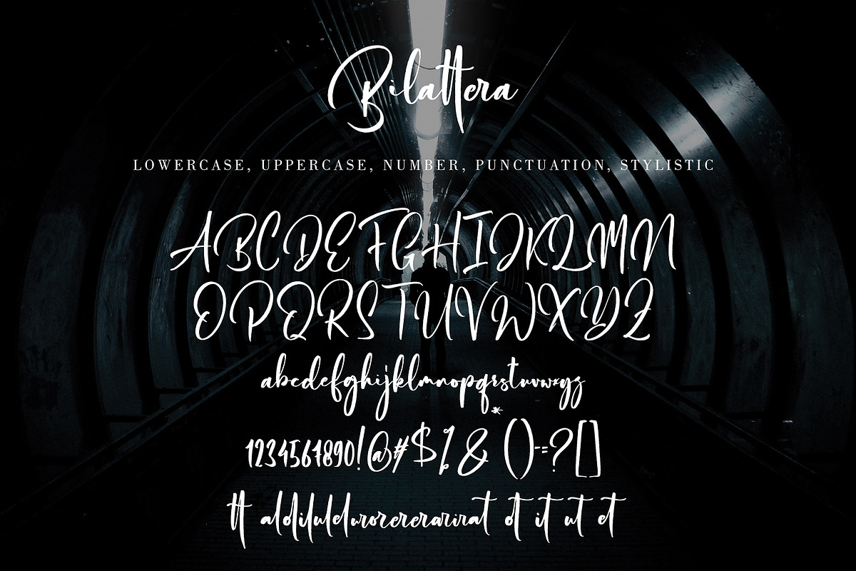 Bilattera, a Script Font by pineungtype (Photo 8 of 8)