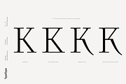 TT Ricordi, a Serif Font by TypeType (Thumbnail 12 of 15)