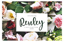 Renley - An Everyday Script