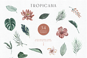Tropicana Botanical Elements, a Graphic by Opal Creative (Thumbnail 2 of 10)
