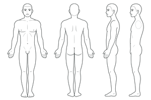 Male body chart medical diagram