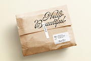 ED Lavonia - Classy Script, a Script Font by Emyself Design (Thumbnail 6 of 12)