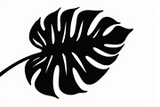 Stylized Monstera Leaf Bundle, an Illustration by hafijul (Thumbnail 5 of 9)