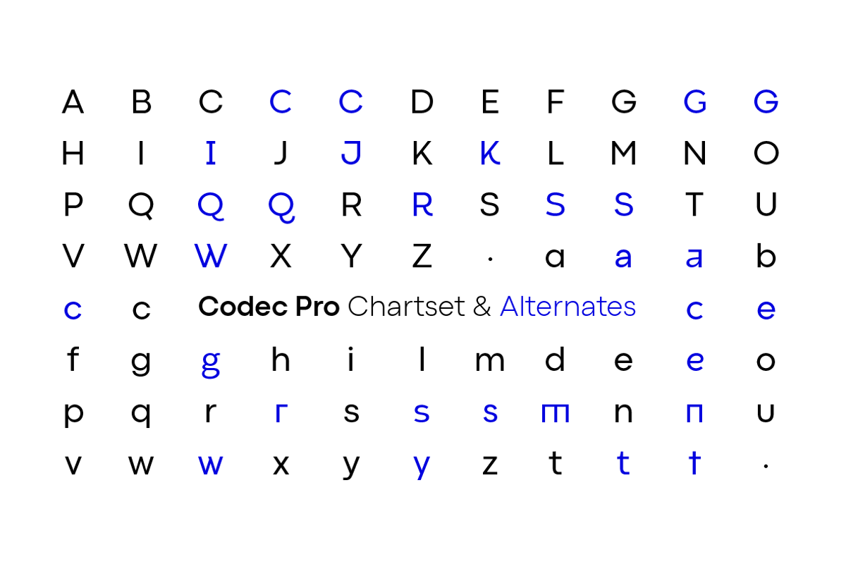 Codec Pro 22 fonts + 1 variable preview 8