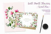 Sweet Pea clipart, birthmonth flower, a Decorative Illustration by swiejko (Thumbnail 5 of 5)