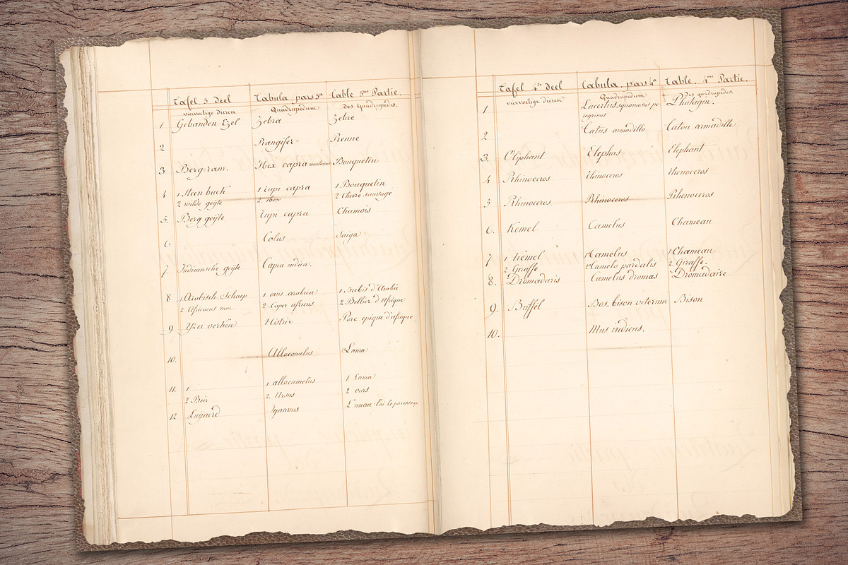 Old Ledger Paper, a Texture Illustration by Secret Helper (Photo 6 of 7)
