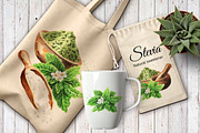 Stevia. Watercolor collection, a Healthcare Illustration by Daria Ustiugova (Thumbnail 6 of 6)