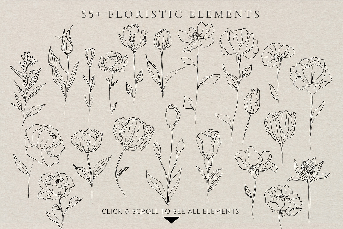 Minimalistic Line Flowers & Leaves, a Decorative Illustration by La Petite Line Art (Photo 2 of 10)