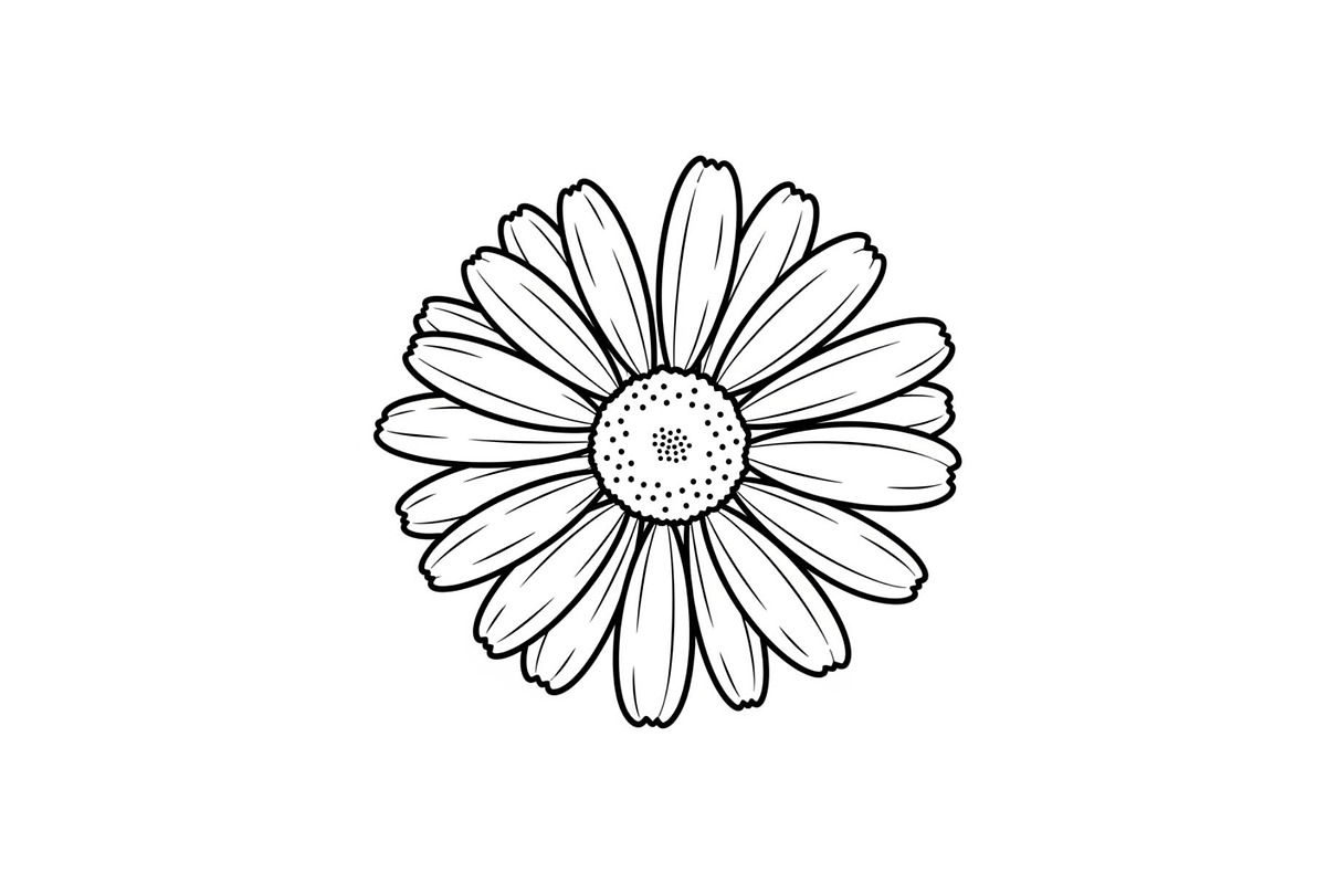 Daisy Flower Line Art Vector Bundle0, an Illustration by jahid234 (Photo 35 of 51)