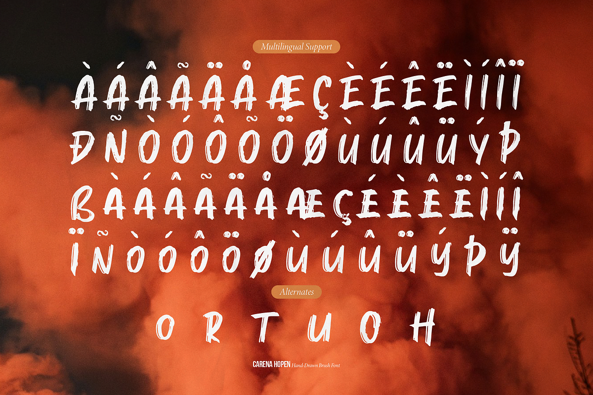 Carena Hopen | Hand Drawn Brush Font, a Handwritten Font by gracetype_studio (Photo 12 of 12)