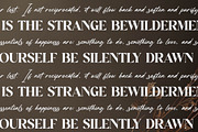 Hanfiye Guesterya Font Duo, a Serif Font by Storytype Studio (Thumbnail 8 of 15)