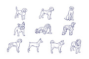 Dog Breeds Hand Drawn Illustration, an Animal Illustration by SLAB! Design (Thumbnail 3 of 3)