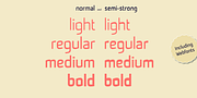 Curiance, a Sans Serif Font by Bettina Lüber (Thumbnail 3 of 9)