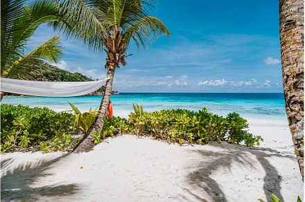 Tropical beach at Mahe island, a Nature Photo by Igor Tichonow
