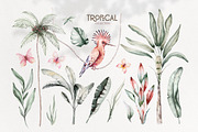 Tropical watercolor collection, an Animal Illustration by Peace ART (Thumbnail 6 of 16)