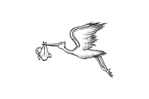 Stork Carry Baby Engraving Vector